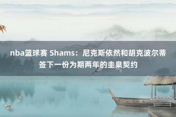 nba篮球赛 Shams：尼克斯依然和胡克波尔蒂签下一份为期两年的圭臬契约