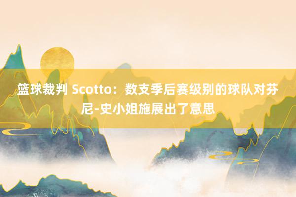 篮球裁判 Scotto：数支季后赛级别的球队对芬尼-史小姐施展出了意思