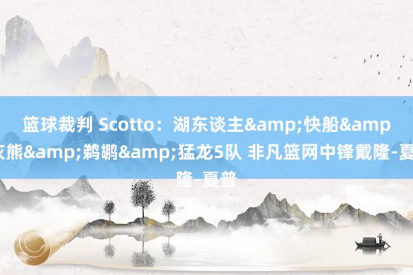 篮球裁判 Scotto：湖东谈主&快船&灰熊&鹈鹕&猛龙5队 非凡篮网中锋戴隆-夏普